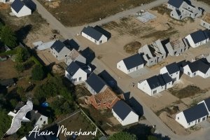 P1610236 2023 07 10 Allée Des Aigrettes, Allée Des Hérons, Allée Des Spatules, Allée Des Vanneaux